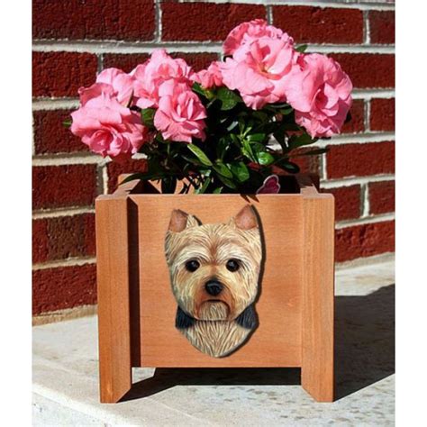 yorkshire terrier planter